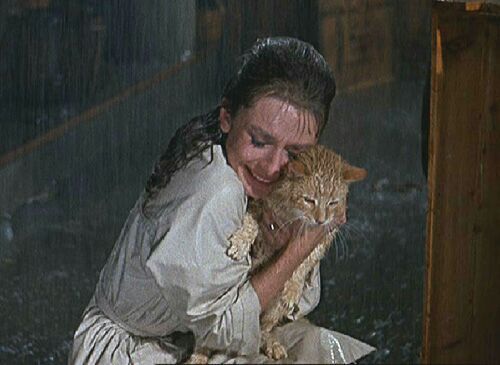 El gato bajo la lluvia
